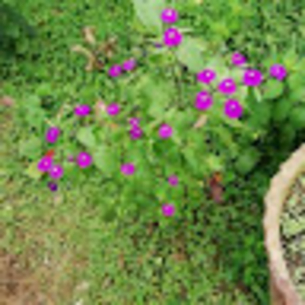 Meet your Posher, Mg